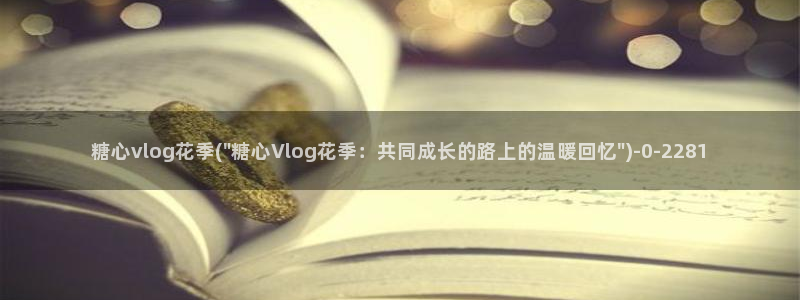 糖心vlgo破解版