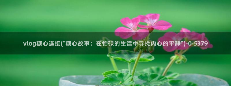 糖心vlgo水冰月麻豆