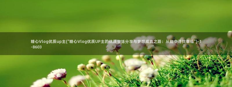 糖心vlgo哪个博主最火