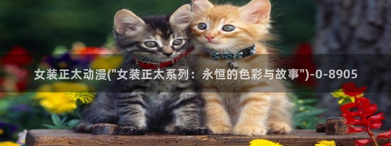 宫崎骏动漫：女装正太动漫(\