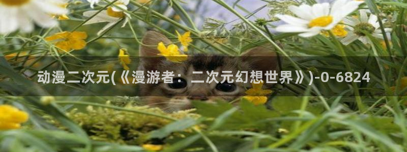工口动漫