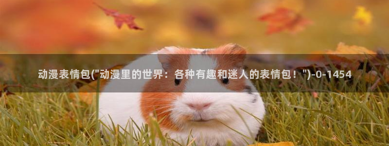 58动漫