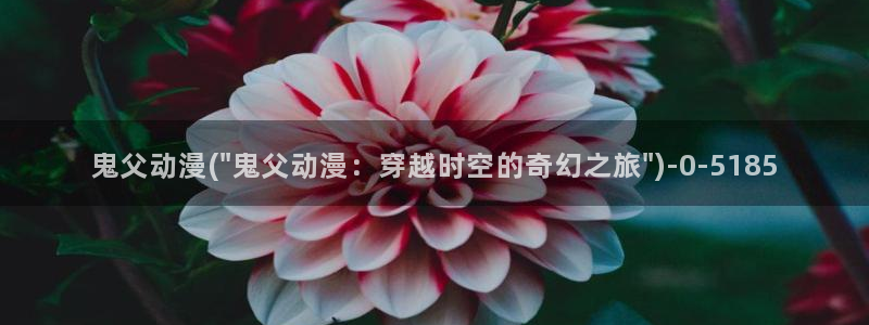 同性动漫