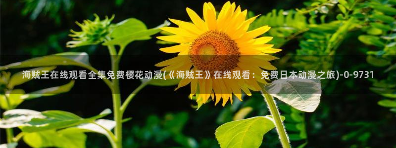 天堂动漫网