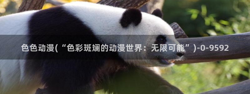 动漫下载